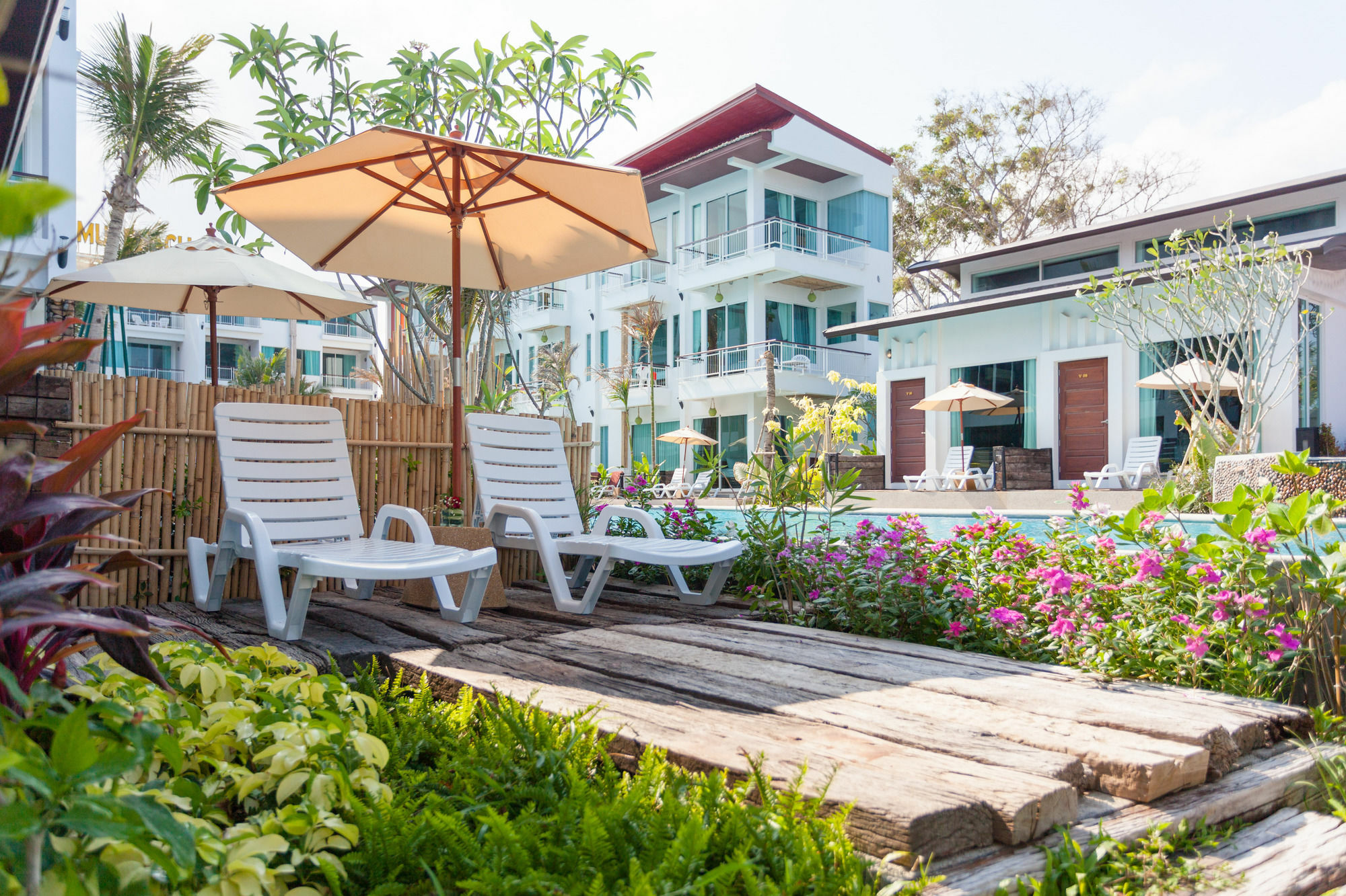 The Samui Ko Samui